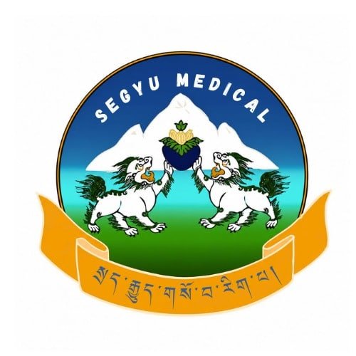 Segyu Medical logo
